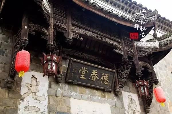 普安特兽药解答：犬猫的保健食品应该怎么选？